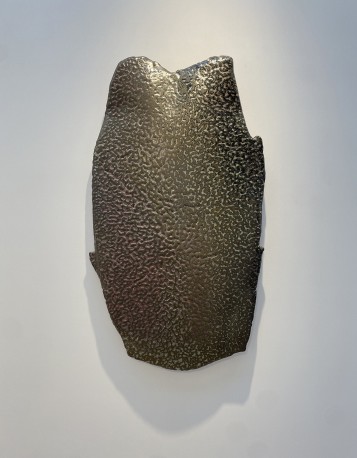 Areshima noir - DEJONGHE_BERNARD_221