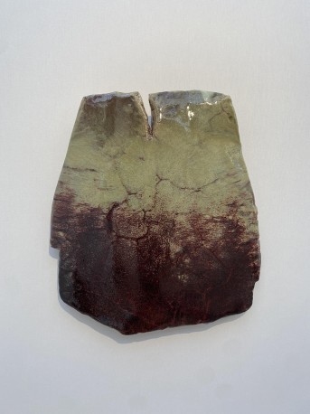 Sabot de diable - DEJONGHE_BERNARD_222