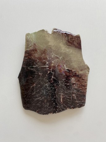 Sabot de diable - DEJONGHE_BERNARD_223