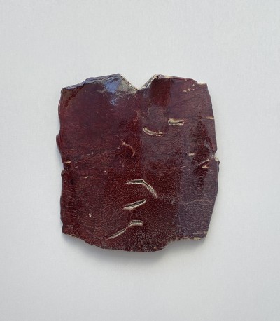 Sabot de diable - DEJONGHE_BERNARD_226