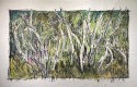 Forêt niaouli, Nouvelle-Calédonie, 2014