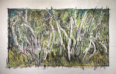 Forêt niaouli, Nouvelle-Calédonie, 2014