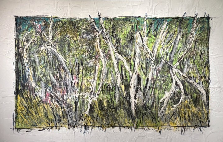 Forêt niaouli, Nouvelle-Calédonie, 2014 - JEAN_LOUIS_KOLB_333