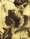 Glanage n° 10 - 6/10