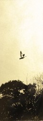 Glanage n° 20 - 3/10