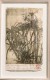 Cyperus sur papyrus, 2016