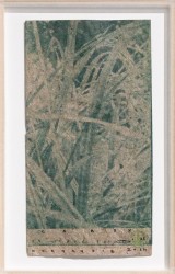 Carex on carex paper - Normandie, 2024