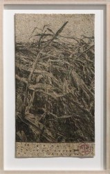 Zea mays on corn paper, 2023