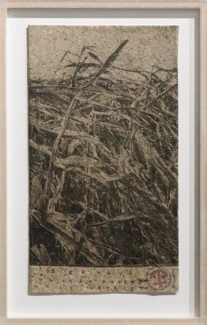 Zea mays on corn paper, 2023 - BARATIER_PARME_48