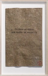 Tipha latifolia sur papier de massette