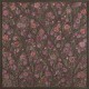 Le buisson de roses, 2016