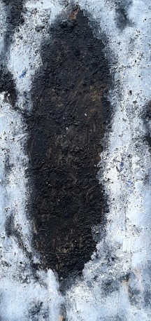 Cyprès - Adieux à la médierranée, 2017 - REBEYROLLE_FABRICE_443