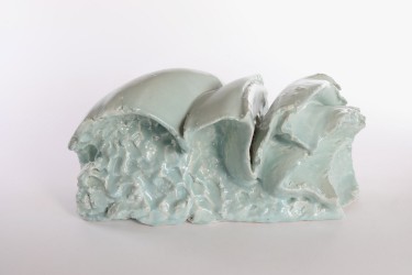 Carapace, 2025