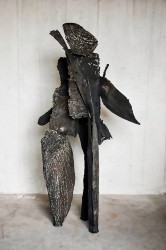 Terre sauvage, 2023