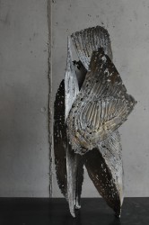 Terre glacée, 2025