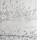 Chemin d'eau - 4/7
