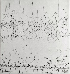 Chemin d'eau - 4/7
