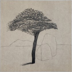 Mamutegiko - 4/30, 2025