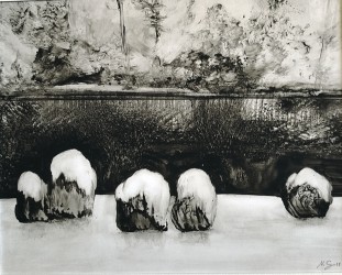 Capuchons de neige, 2025