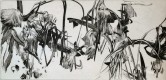 La fugue du jardinier 1 - 15/30, 2015