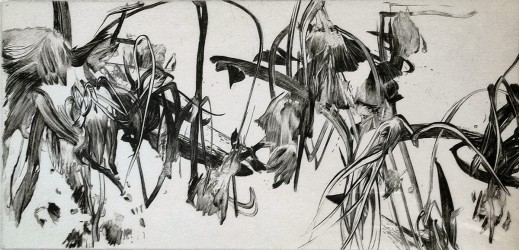 La fugue du jardinier 1 - 15/30, 2015