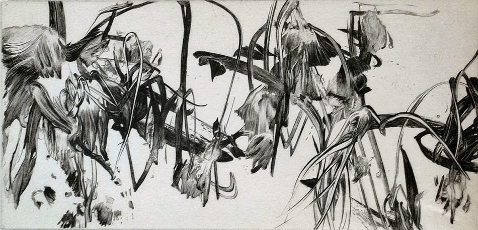La fugue du jardinier 1 - 15/30, 2015 - GRALL_NATHALIE_1450