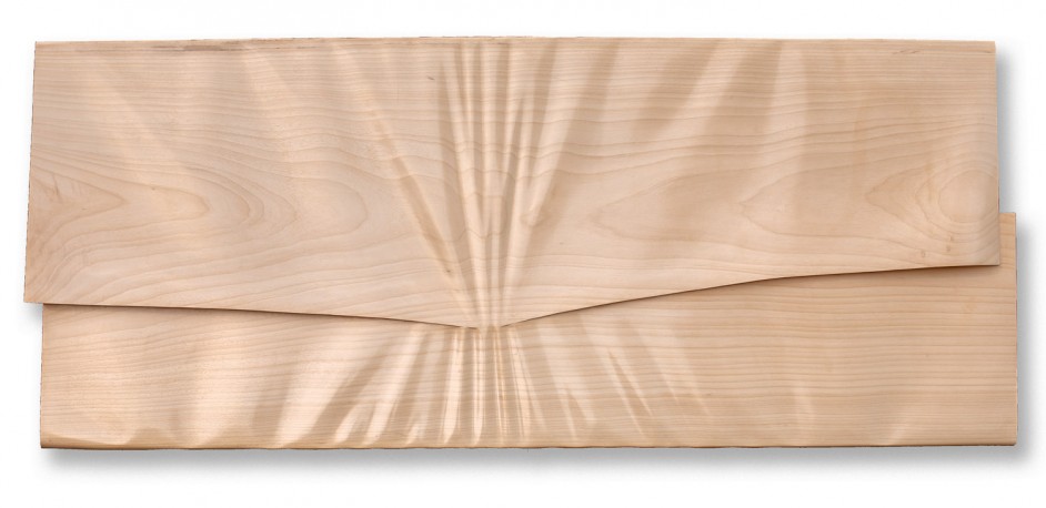 Grand polyane scotché, oblong - 2019 - RENONCIAT_CHRISTIAN_15