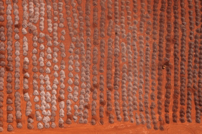 Extraction, Abu Dhabi, 2025 - n°1/3 - Jérémie LENOIR_214cde