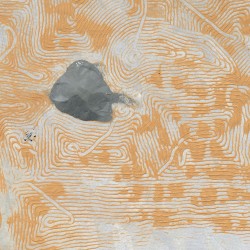 Cour, Abu Dhabi, 2025 - n°1/5