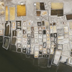 Saloum, 2026 - n°1/5