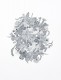 FM6 - Histoire naturelle, 2026