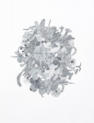 FM6 - Histoire naturelle, 2026
