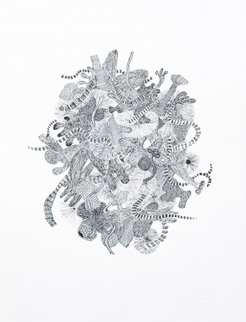 FM6 - Histoire naturelle, 2026 - TEXEDRE_COCO_325