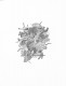 FM9 - Histoire naturelle, 2026