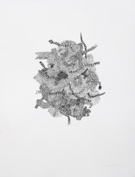 FM10 - Histoire naturelle, 2026
