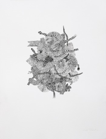 FM10 - Histoire naturelle, 2026 - TEXEDRE_COCO_329