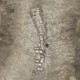 Saloum, 2026 - n°1/5