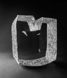 Forme brève