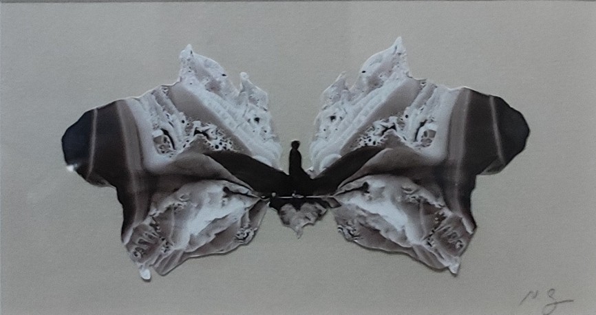 Ouvrir des ailes de papier I ( une barque dans la dentelle), 2026 - GRALL_NATHALIE_1488