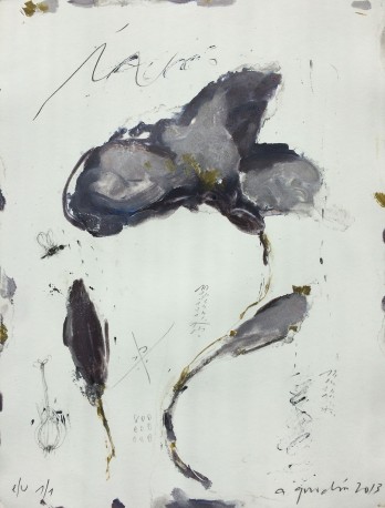 Iris - GORODINE_ALEXIS_866