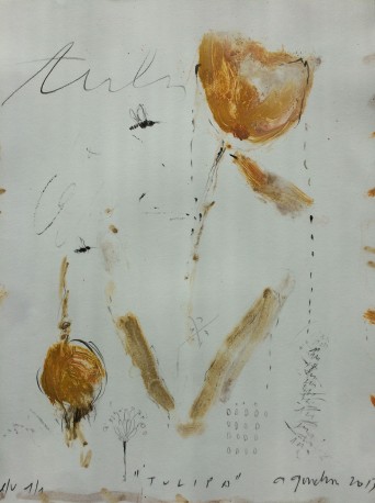 Tulipa - GORODINE_ALEXIS_869