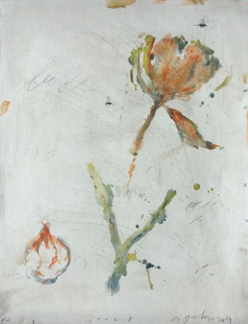 Tulipe - GORODINE_ALEXIS_931
