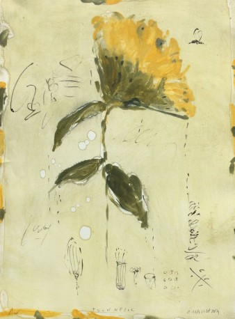 Tournesol - GORODINE_ALEXIS_938