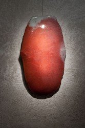Areshima rouge