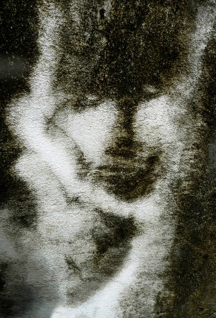 Petit renard à fourrure blanche, 2011, Salvador de Bahia - MOLLARD_CLAUDE_141