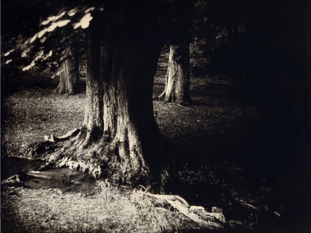 Gorze - ANTOINE_ERIC_9