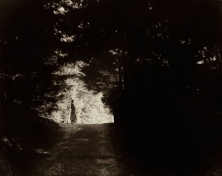 Mon chemin
