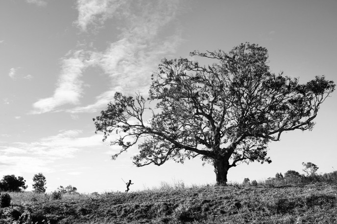 Série arbres, Farafangana, 2012 - PIERROT_MEN_124