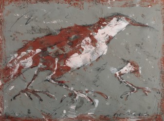 Bécasse grise (2020)