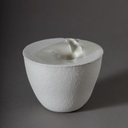 Tulipe (2006)
